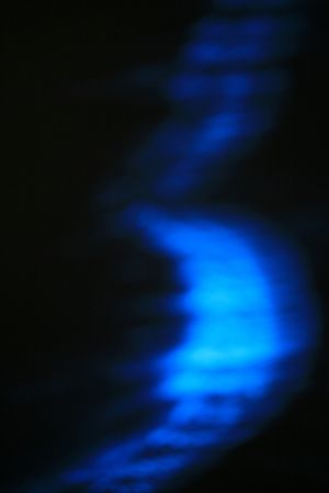 blue plankton two.jpg
